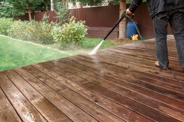Best Solar Panel Cleaning  in Arcadia, FL